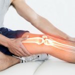 The knee joints are most affected by alcohol.