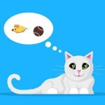 Reading minds: what cats think about