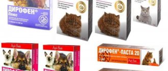Dirofen for cats and cats