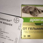 Drontal for cats