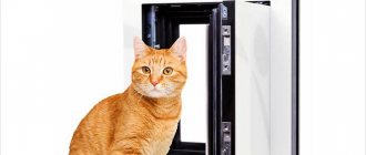 Do-It-Yourself Cat Door - step-by-step instructions