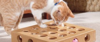 Игра-головоломка для кошки