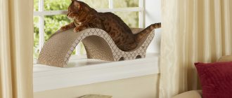Как защитить мебель от кошачьих коготков