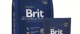 Brit cat food reviews