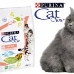 Cat food Cat Chow