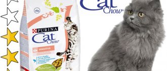 Cat food Cat Chow