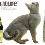 Pronature cat food - a detailed overview of the range