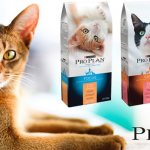 Purina Pro Plan food for cats and cats