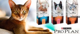 Purina Pro Plan food for cats and cats