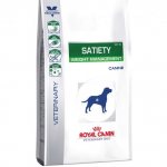 Royal Canin food for small breed dogs