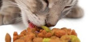 корм савара для кошек рекомендации