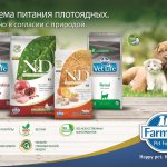 Farmina food for cats and dogs