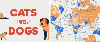 Кошки или собаки: исследователи подсчитали, кого больше любят в разных странах мира, и кто всё-таки популярнее