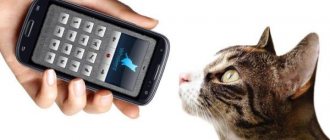 Mobile application for cats iOS/Android SOFT
