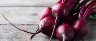 Can cats eat beets? read the article