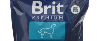 Premium (Brit Premium) for dogs