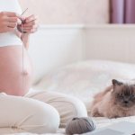 Signs for pregnant women with cats