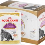 Royal canin for cats