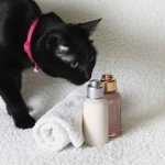 шампунь для кошек