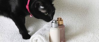 шампунь для кошек