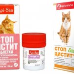 Stop cystitis for cats instructions for use
