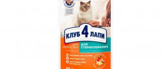 Wet cat food Club 4 Paws